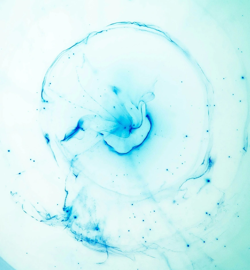 Autophagythe magic of cell regeneration.