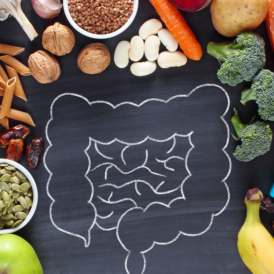 Optimising Gut Health – the Microbiome