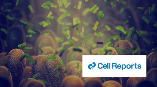 Fasting-Mimicking Diet Modulates Microbiota and Promotes Intestinal Regeneration to Reduce Inflammatory Bowel Disease Pathology